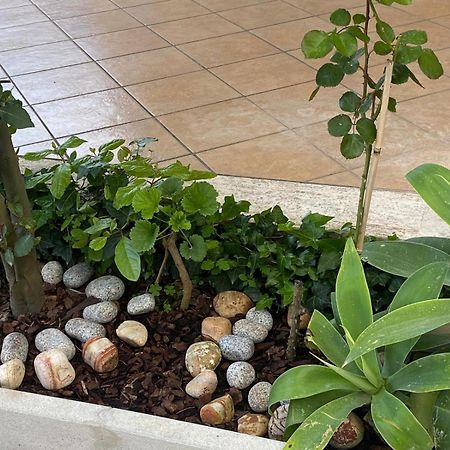 Villa Rita a 200m dal mare I Bacini Esterno foto